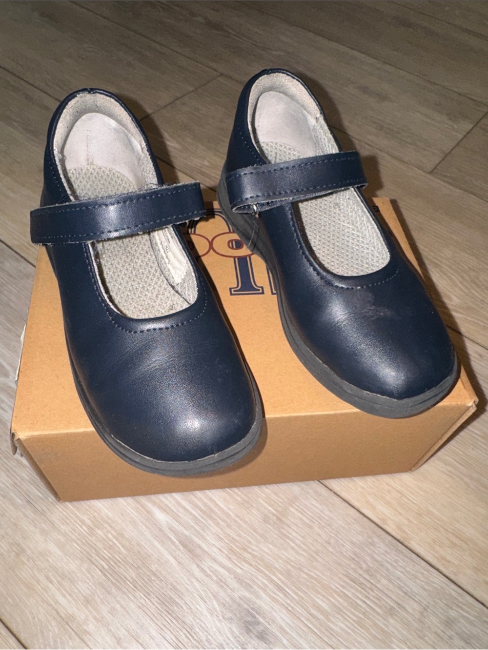 School Issue Navy Mary Jane Shoes with Strap
